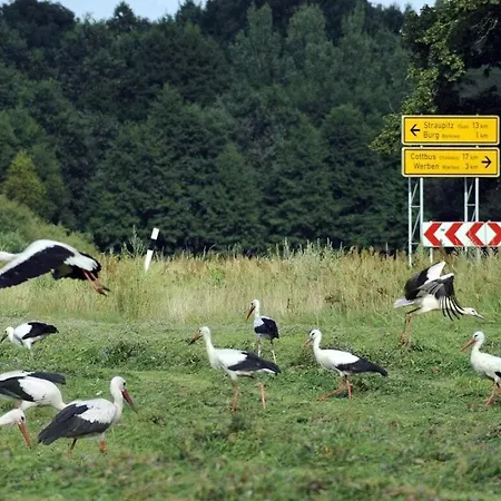 Kastanienhof Burg (Spreewald)