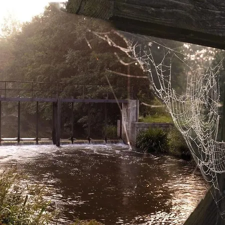 Kastanienhof * Burg (Spreewald)